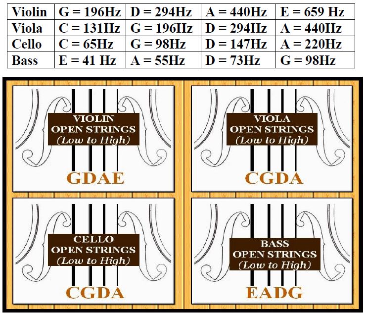 OPEN STRING FREQUENCIES