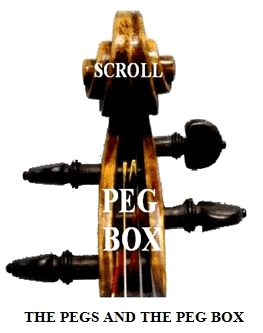 PEg Box