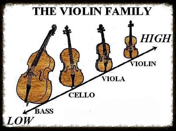 Mediate dump gå ind m-VIOLIN FAMILY 1 :: StringQuest