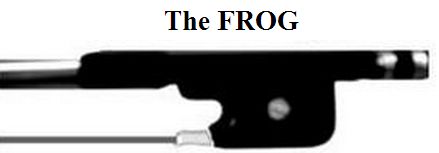 frogmini